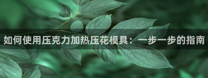 易倍emc网址网页版本登陆